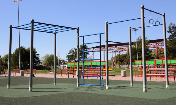 Турники